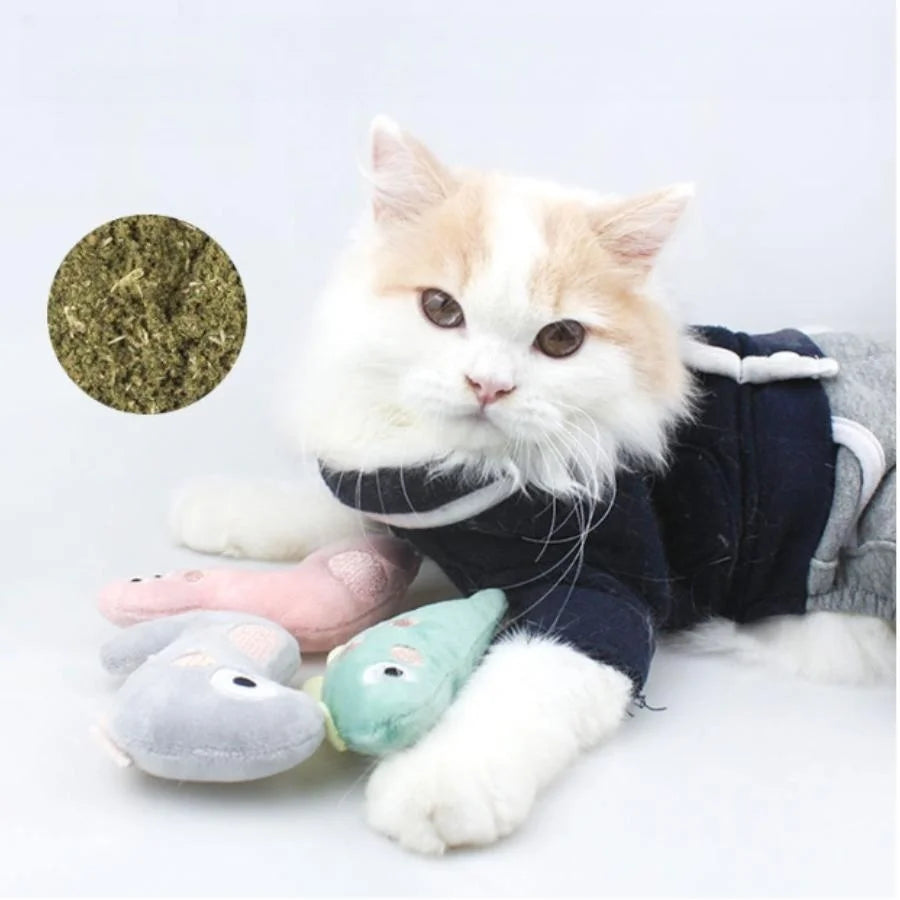 Cute Plush Cat Chew Toy - Cartoon Molar Bite & Interactive Play