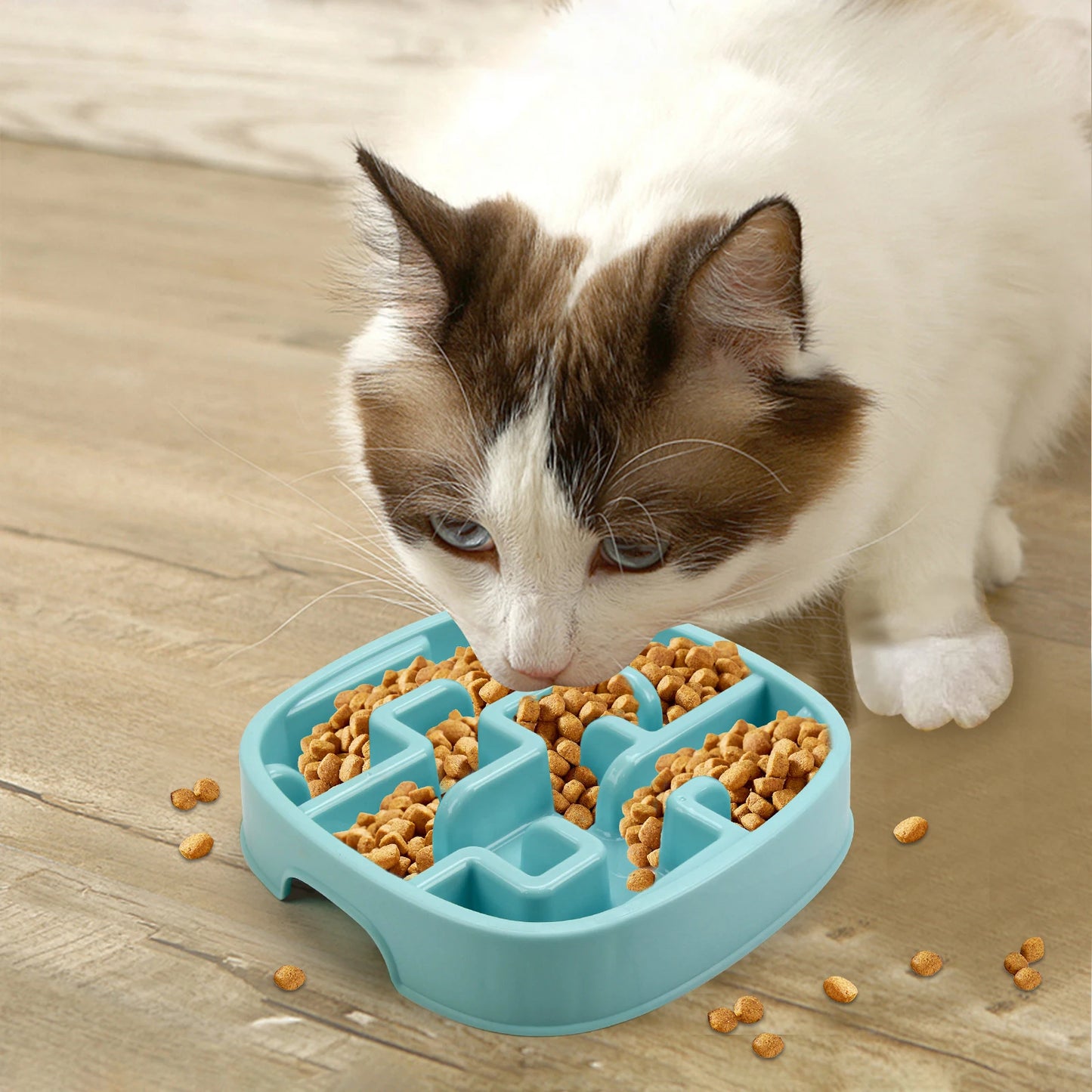 Anti-Gulping Slow Feeder Dog Bowl - Non-Slip Eco Dish for All Sizes