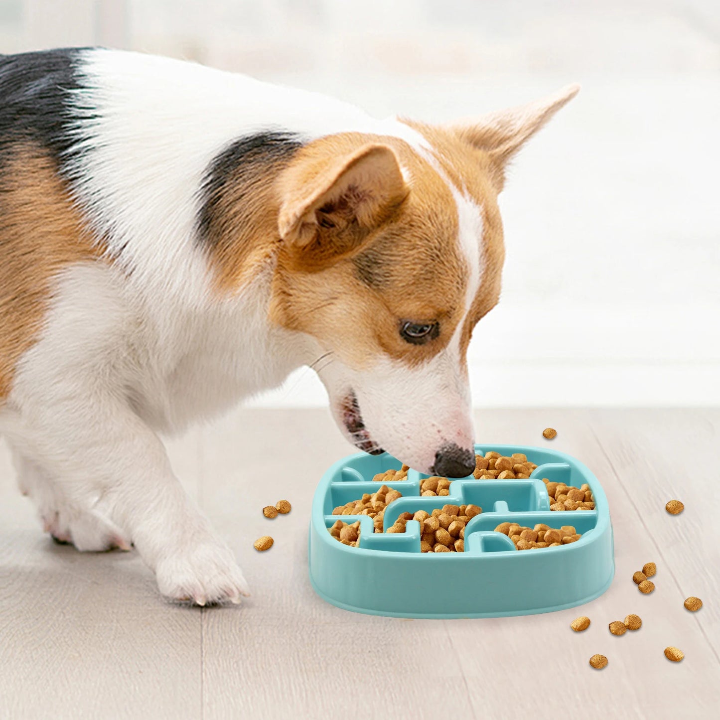 Anti-Gulping Slow Feeder Dog Bowl - Non-Slip Eco Dish for All Sizes