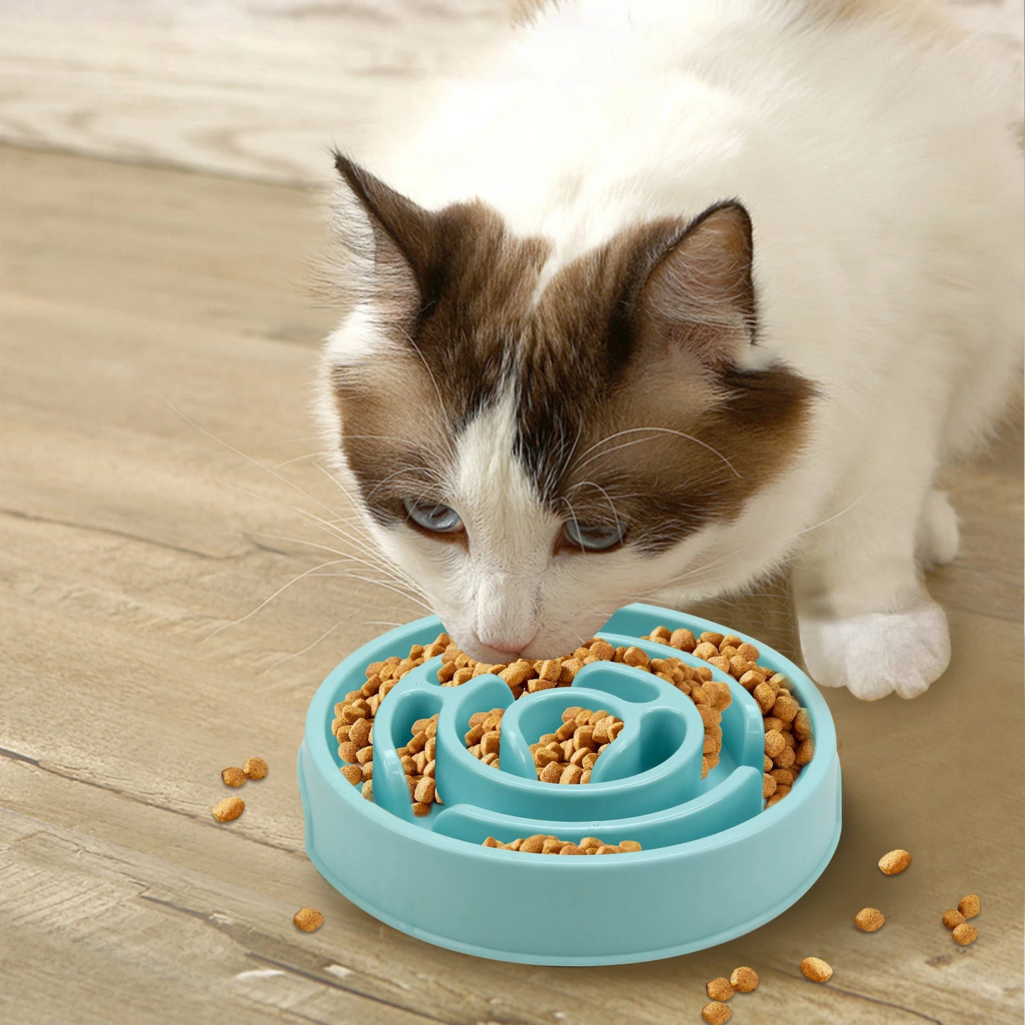 Anti-Gulping Slow Feeder Dog Bowl - Non-Slip Eco Dish for All Sizes
