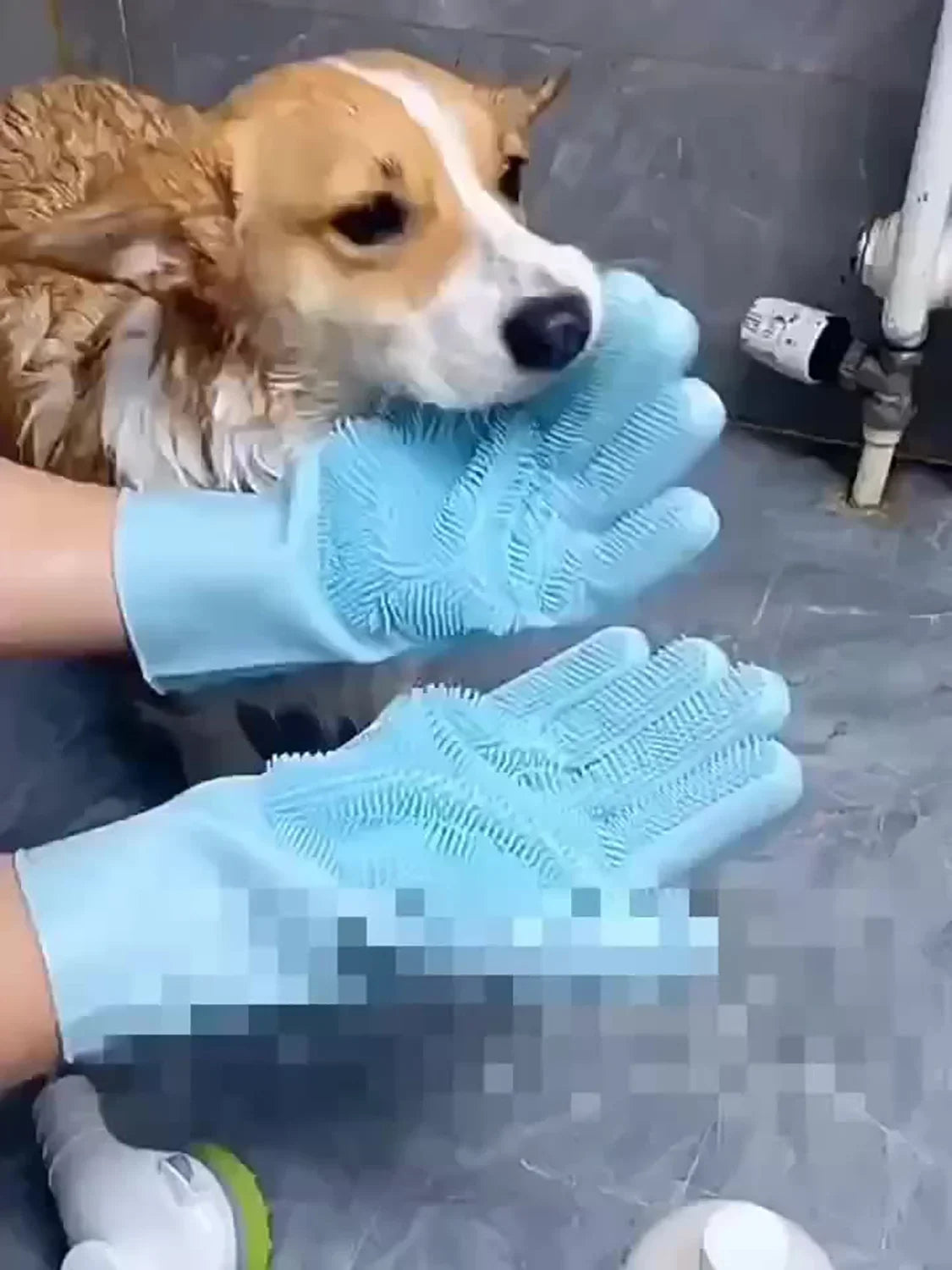 Pet Grooming Cleaning Gloves - Bathing Scrubber & Hair Removal Sponge