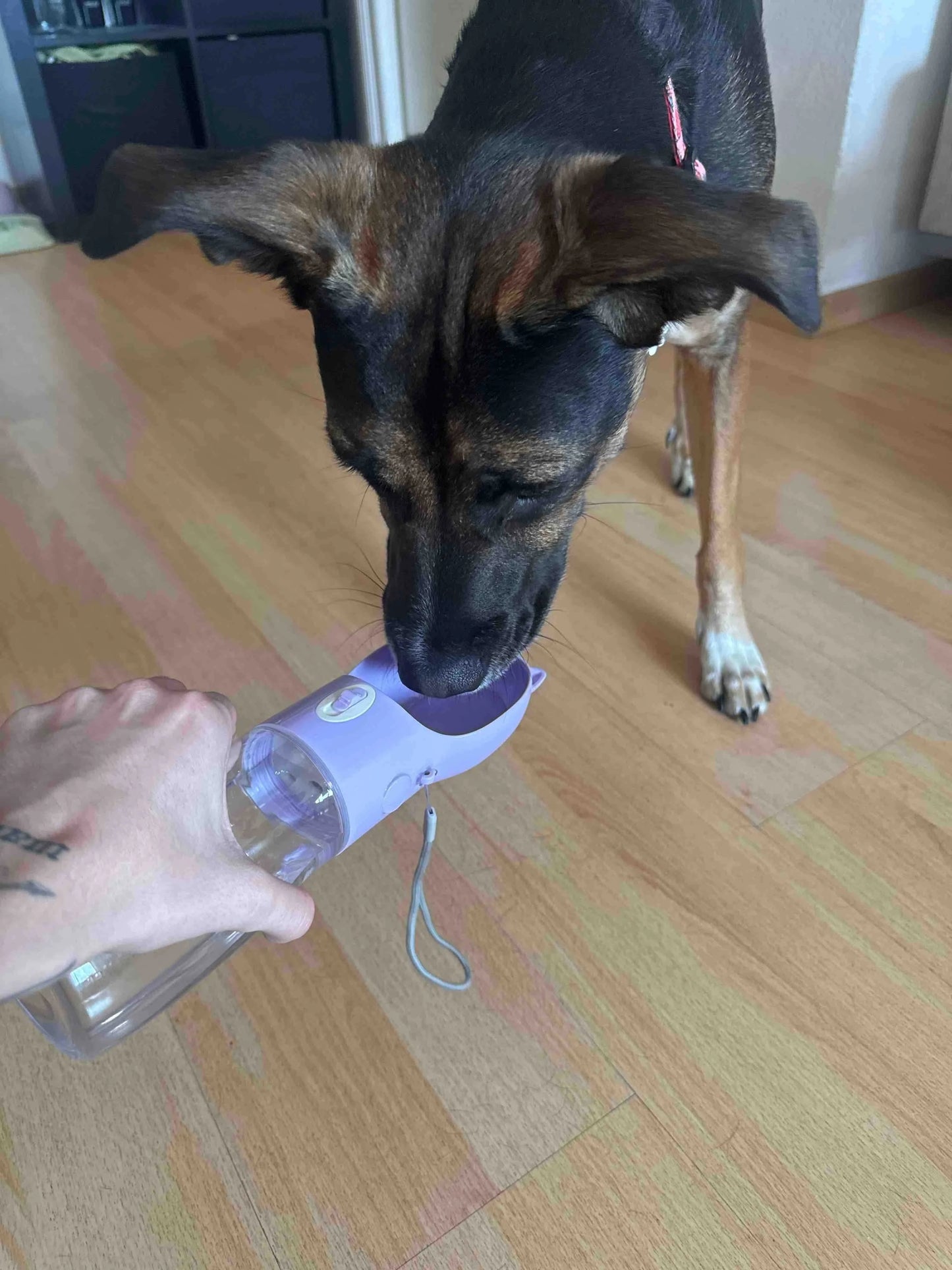 Portable Dog Water Bottle - Leakproof Pet Drinking Bottle with Bowl for Travel and Outdoor Activities