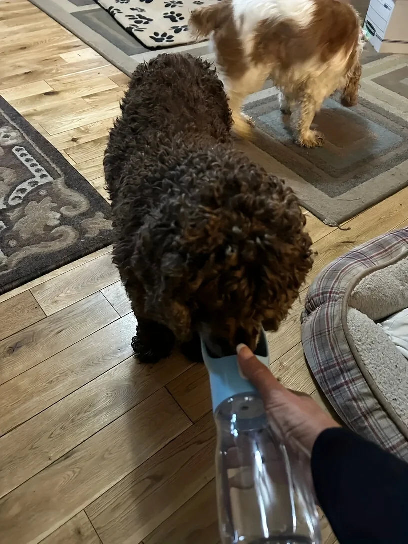 Portable Dog Water Bottle - Leakproof Pet Drinking Bottle with Bowl for Travel and Outdoor Activities