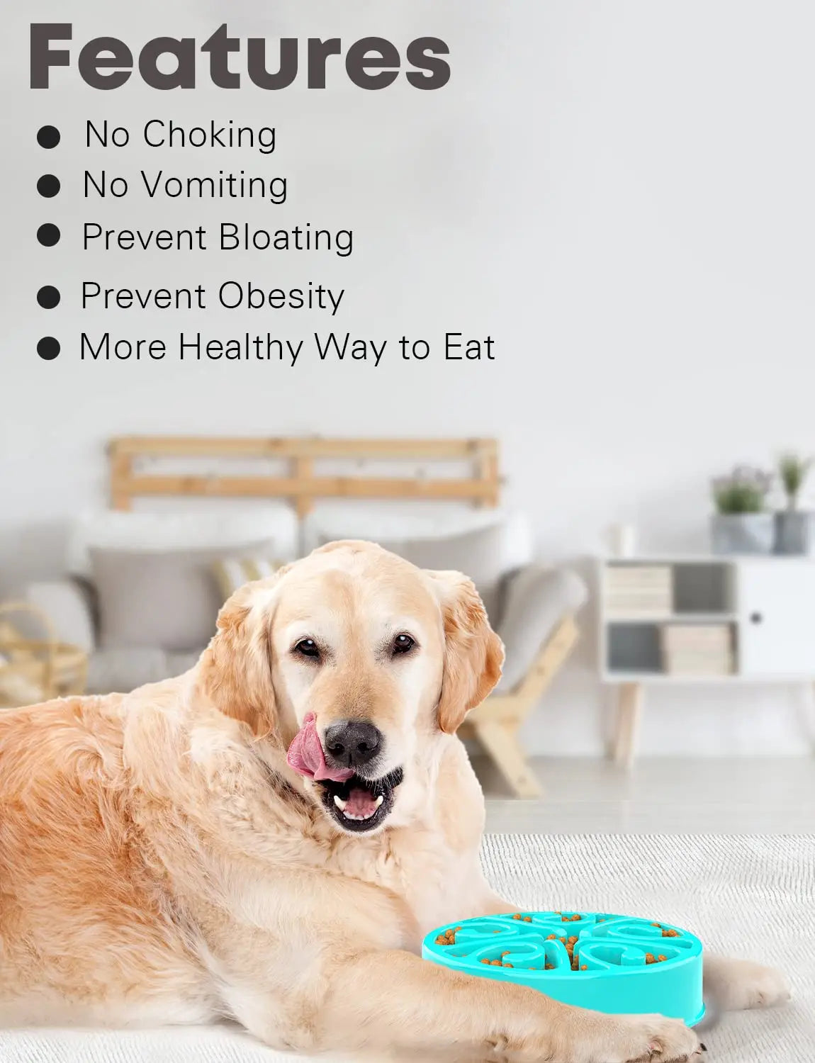 Slow Feeder Dog Bowl - Non-Slip, Anti-Gulping, Eco-Friendly Dish