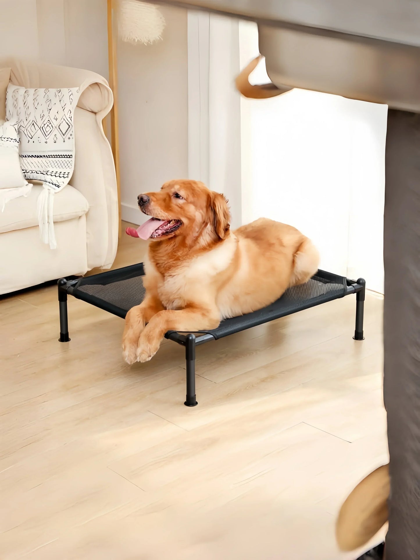 Folding Portable Pet Bed - Washable All-Season Dog & Cat Camping Bed