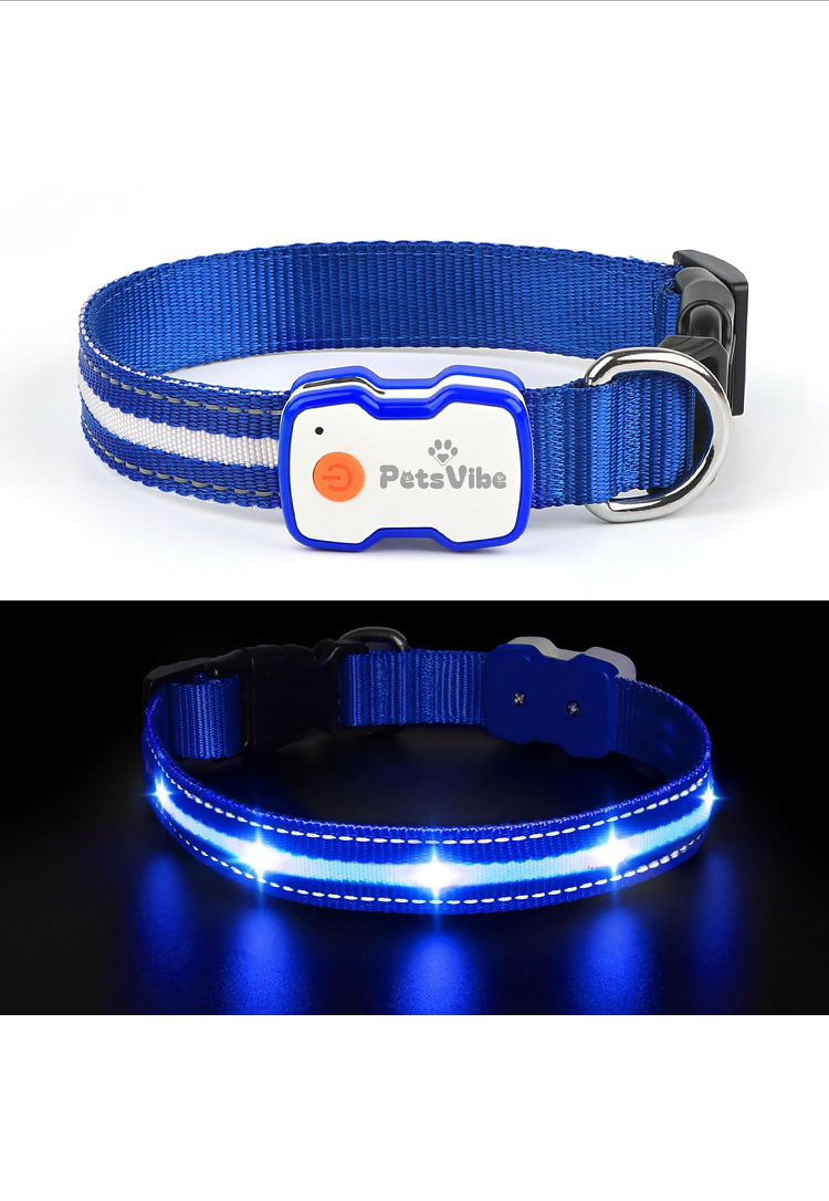 PetsVibe USB Rechargeable LED Dog Collar – Night Safety & Visibility
