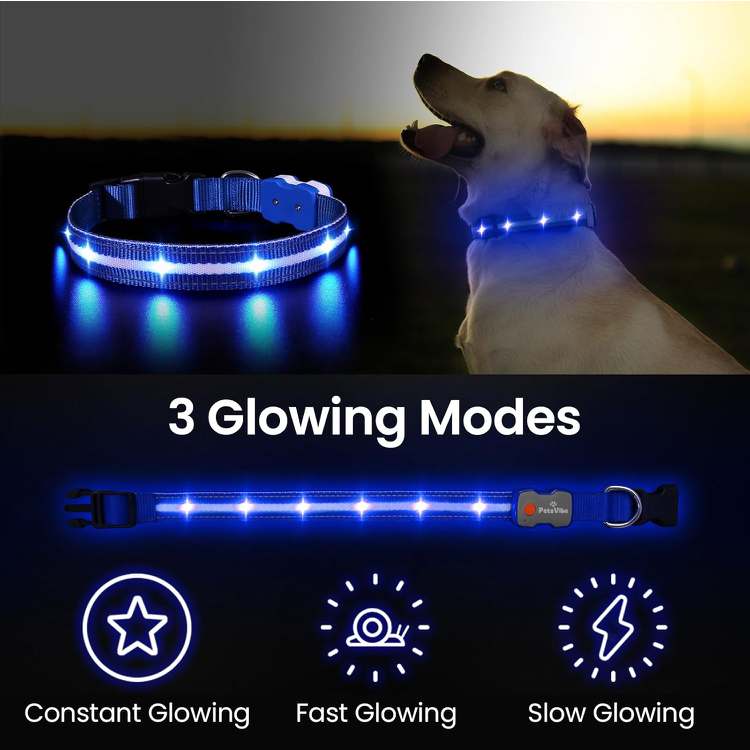 PetsVibe USB Rechargeable LED Dog Collar – Night Safety & Visibility