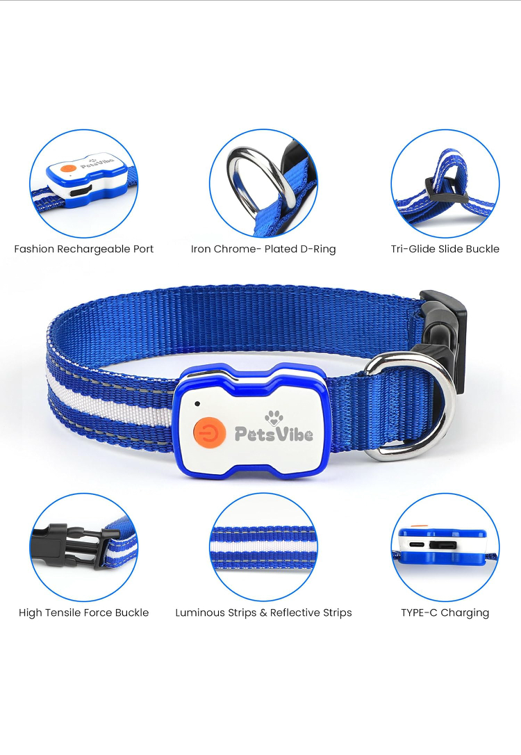 PetsVibe USB Rechargeable LED Dog Collar – Night Safety & Visibility
