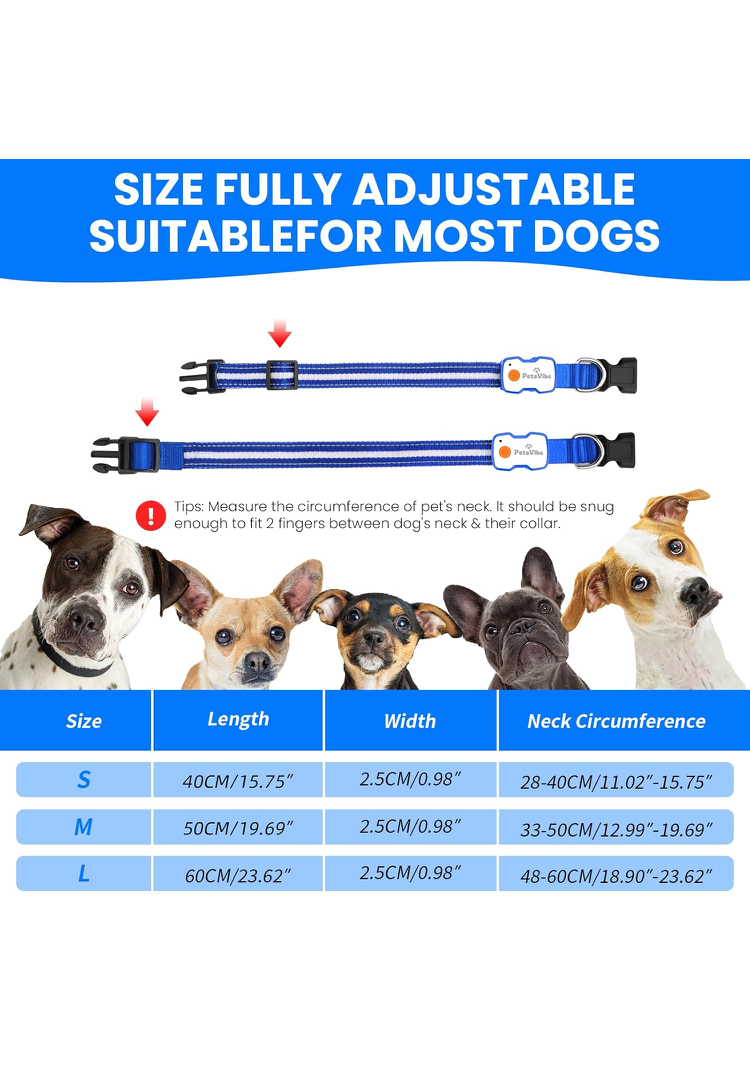 PetsVibe USB Rechargeable LED Dog Collar – Night Safety & Visibility