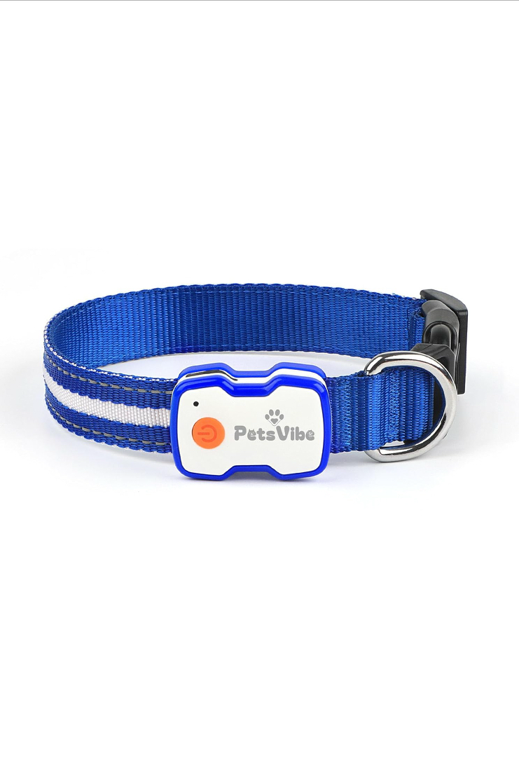 PetsVibe USB Rechargeable LED Dog Collar – Night Safety & Visibility