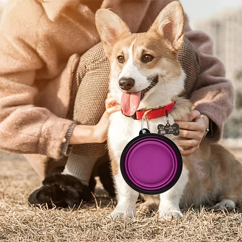 Portable Silicone Collapsible Pet Bowl - Durable Travel Food & Water Bowl