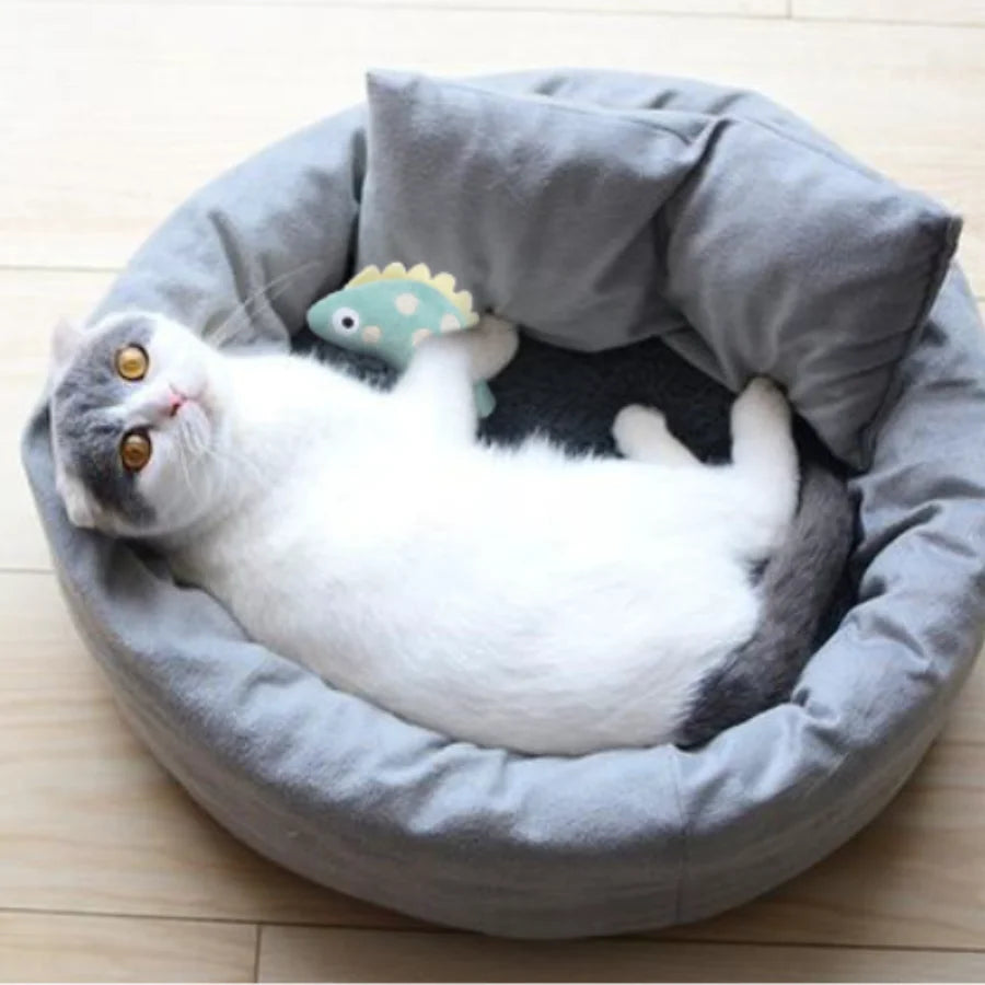Cute Plush Cat Chew Toy - Cartoon Molar Bite & Interactive Play