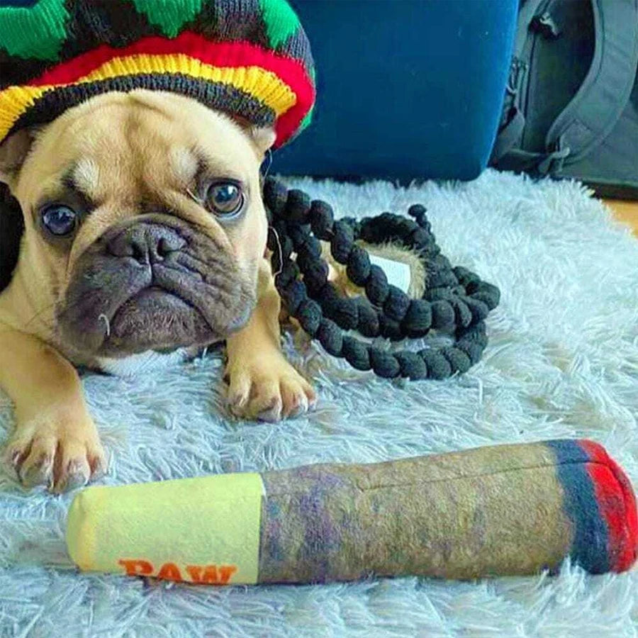 Cigar Plush Squeaky Dog Toy - Funny Chew Toy for Small & Medium Dogs