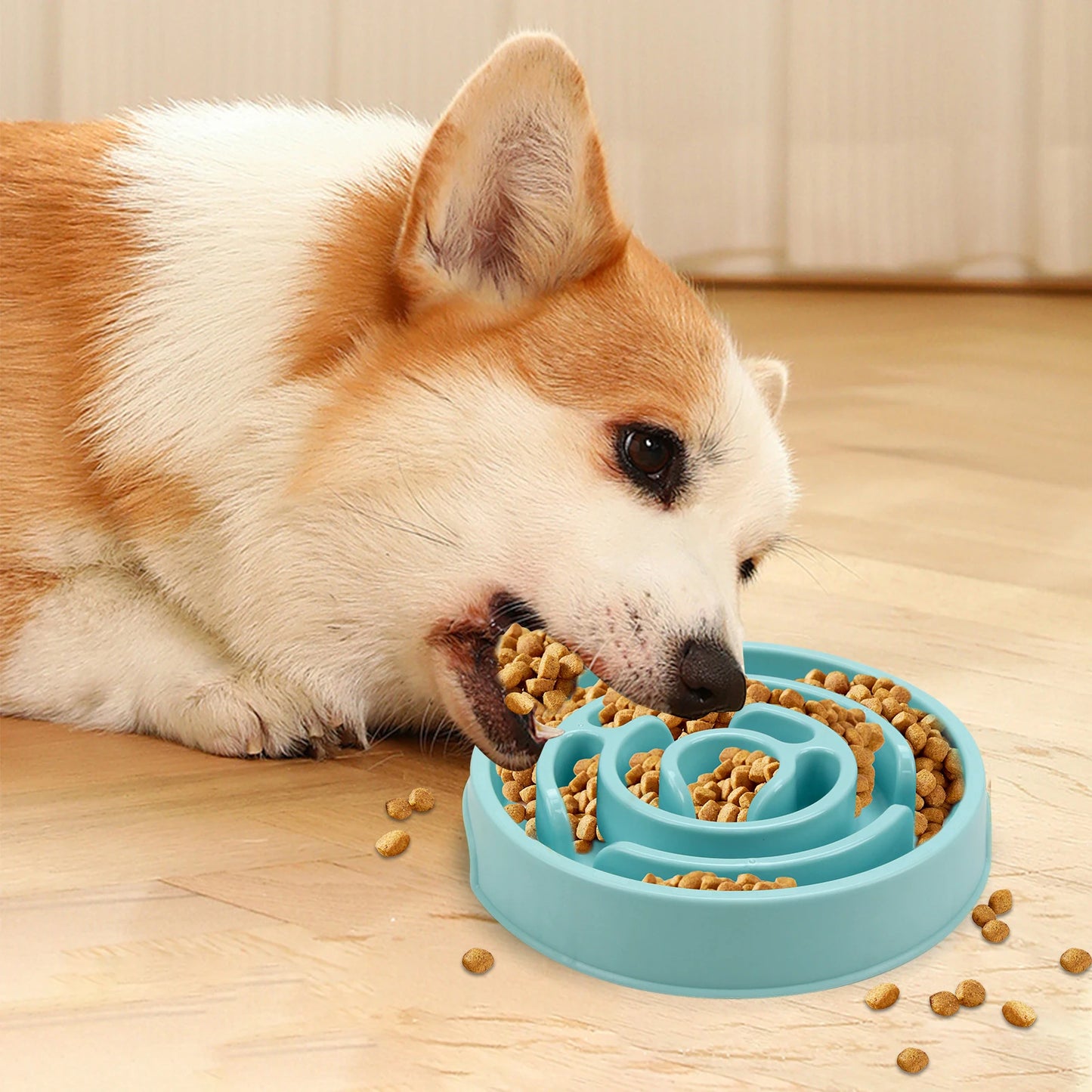 Anti-Gulping Slow Feeder Dog Bowl - Non-Slip Eco Dish for All Sizes