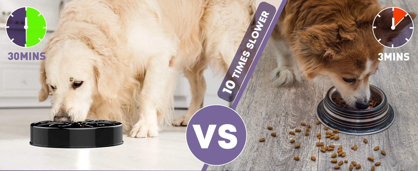Slow Feeder Dog Bowl - Non-Slip, Anti-Gulping, Eco-Friendly Dish