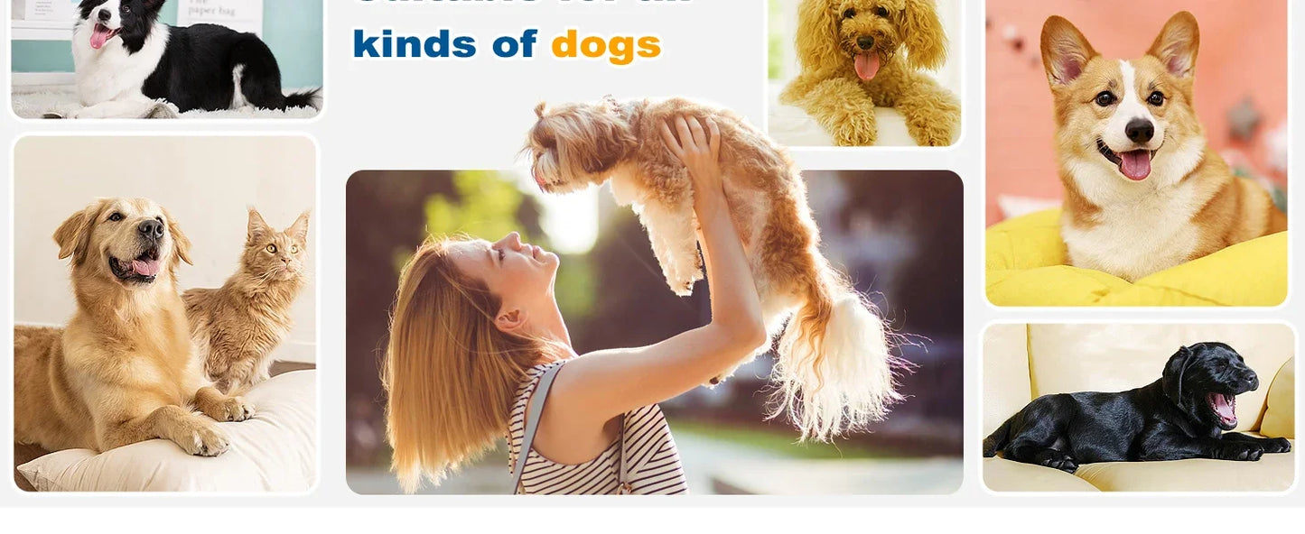 Dog Grooming Kit - Clippers, Vacuum & 5 Shedding Tools for Pets